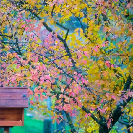 Daire Boglya Oekohaz Ozora